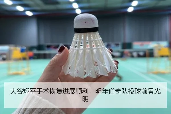 大谷翔平手术恢复进展顺利，明年道奇队投球前景光明